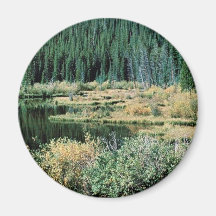 Beaver Pond Magnet