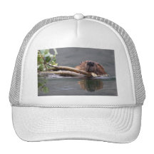 beaver trucker hats