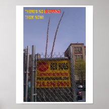 Bed Bug Poster 12a