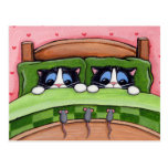 Bed Mice Do Exist - Cat Postcard