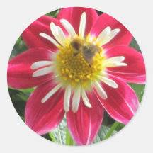 Bee-and-Flower Round Stickers