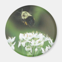 Bee Away Magnets