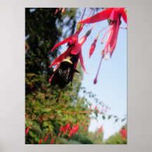 Bee Flower Print