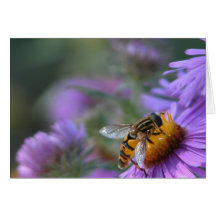 Bee Happy Greeting Cards