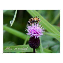 Bee invitation postcard
