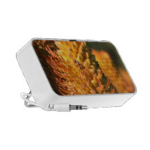 Bee iPod Speakers