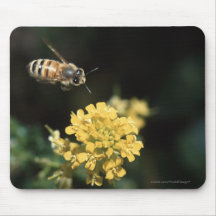 bee mousepad