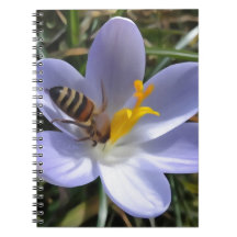 bee on crocus notebooks
