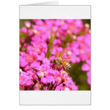 Bee on pink flowers greeting card