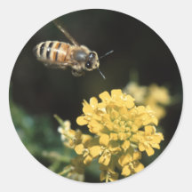 bee round stickers