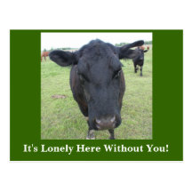 Beef Tails Postcard