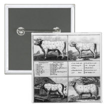 Beef, Veal, Pork, and Mutton Cuts, 1802 Pin