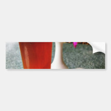 Beer Glass Bumper Sticker