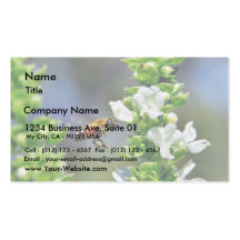 Bees Fying Flight Wings Business Cards