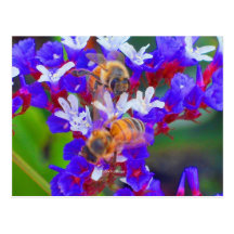 Bees, Love & Bliss Postcard