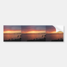 Behind Bayside Cafe - Red, Yellow, And Pink Sunset Bumper Sticker
