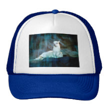 Behind the Falls Hats