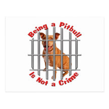 Being a Pitbull is not a Crime Post Cards