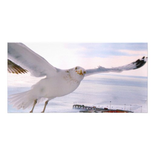 BELIEVE_ PHOTO GREETING CARD