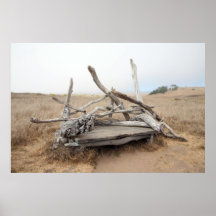 Bench 2 print