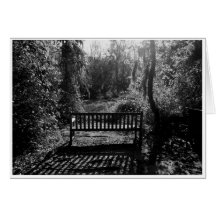 Bench at Sunset Cards