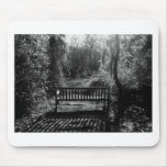 Bench at Sunset Mouse Pads