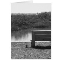 Bench by river black and white picture greeting cards