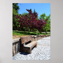 Bench Poster