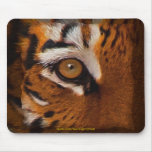 Bengal Tiger Face Eye of Tiger Wildlife Mousemat Mousepads