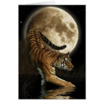 Bengal TIGER & Moon Animal Rights Poem Card