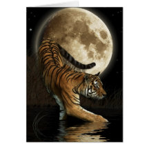 Bengal TIGER & Moon Greeting-card