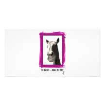 Bently Photo Cards
