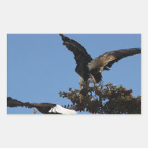 BEPP Bald Eagle Parking Problems Rectangle Stickers