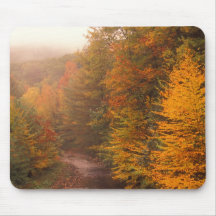 Berkshires Stream in Autumn Mousepads