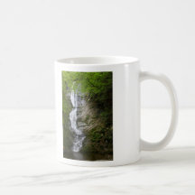 Berkshires Waterfall Ross Brook Falls Savoy Coffee Mugs