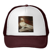 Berliner Shortfaced Pigeon Mesh Hats