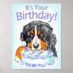 Bernese Mountain Dog Birthday Poster