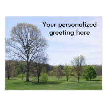 Bernheim Forest Postcards