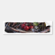 Berries and Twigs Bumper Stickers