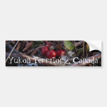 Berries and Twigs; Yukon Territory Souvenir Bumper Sticker