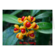 berries, Be my berry Greeting Card