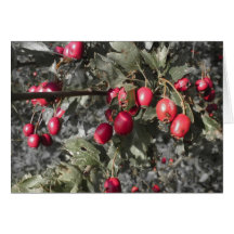 Berries card