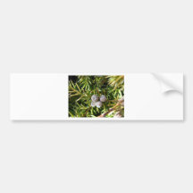 Berry Baubles Bumper Stickers