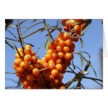 Berry, Berry Good! Card