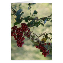 Berry Card