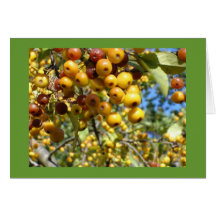 berry delight card