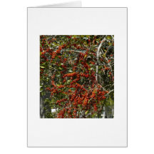 Berry Tree Greeting Card