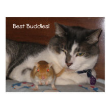 Best Buddies Postcard