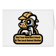Best Friend At Animal Shelter Cards