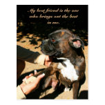 Best friend boxer postcard